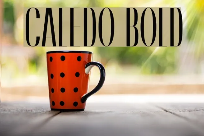 Caledo Bold Example 3