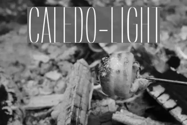 Caledo-Light Font examples
