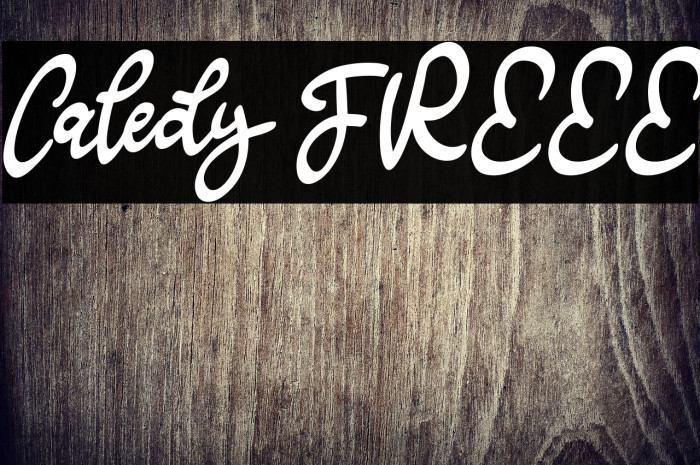 Caledy FREEE Example 1