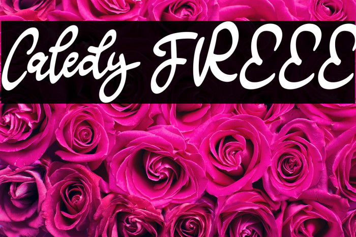 Caledy FREEE Example 2