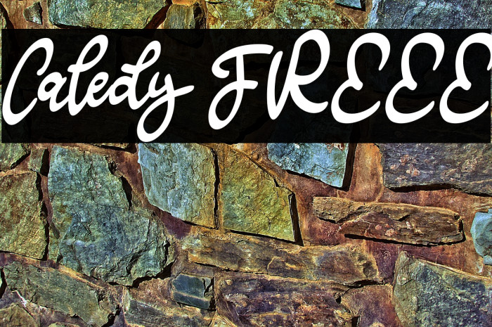 Caledy FREEE Example 3