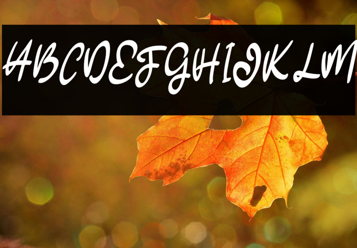 CaledyFREEE Example 1