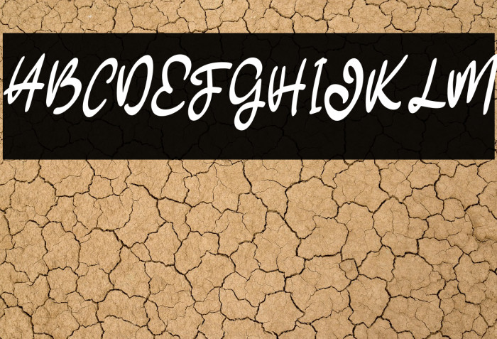 CaledyFREEE Example 2