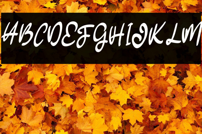 CaledyFREEE Example 3