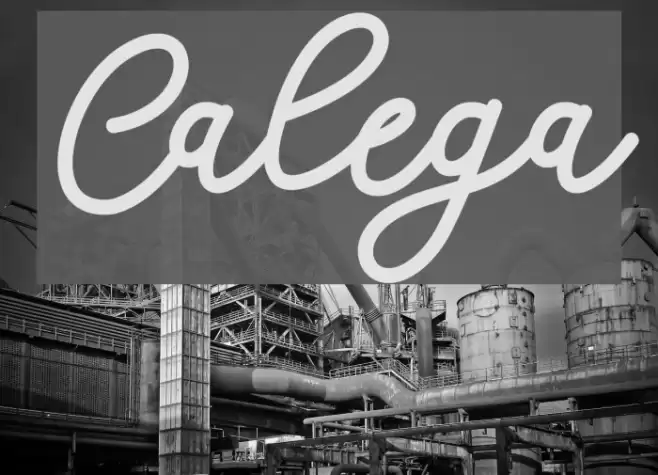 Calega Font examples