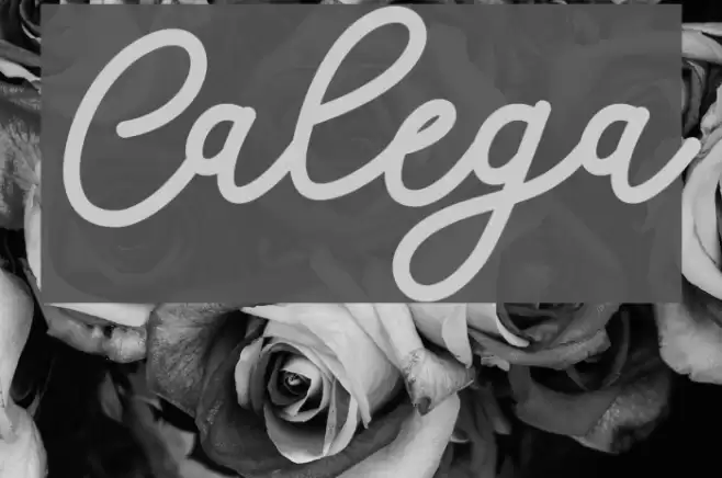 Calega Font examples