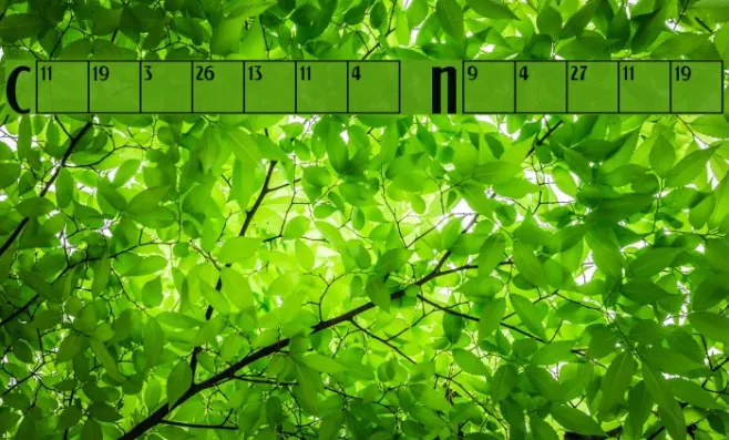 Calendar Normal Example 1