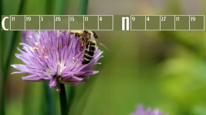 Calendar Normal Example 3