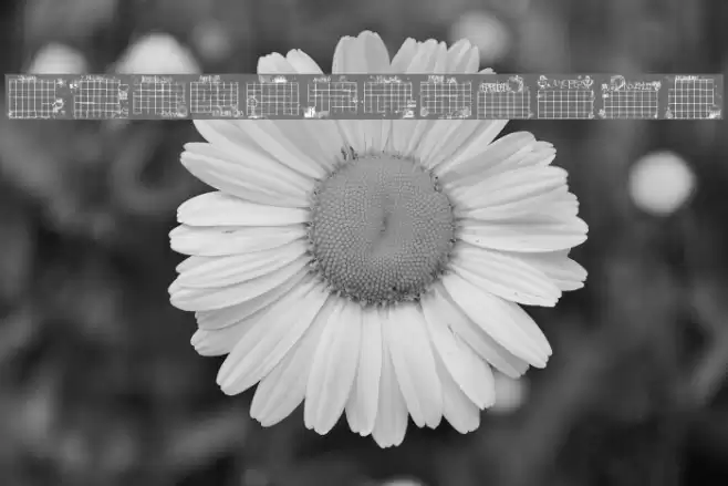 Calender Font examples