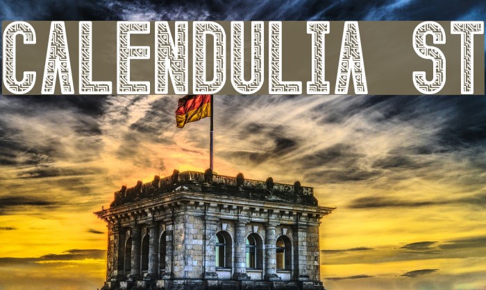 Calendulia St Font examples