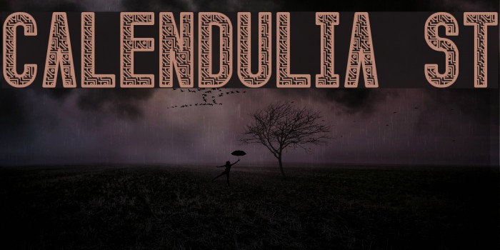 Calendulia St Font examples
