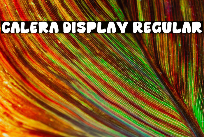Calera Display Regular Example 2