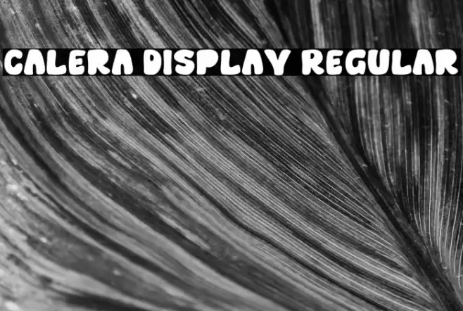 Calera Display Regular Font examples