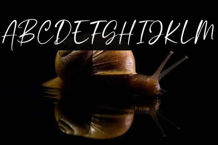 Calestra Personal Use Example 1