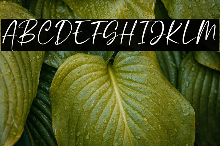 Calestra Personal Use Example 2