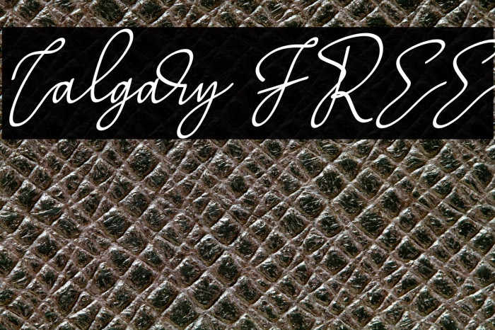 Calgary FREE Example 1