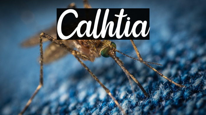 Calhtia Example 1