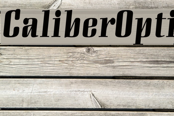 CaliberOpti Font examples