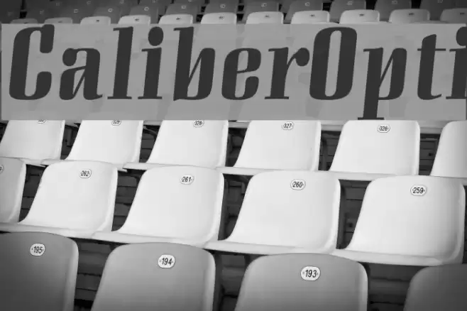 CaliberOpti Font examples