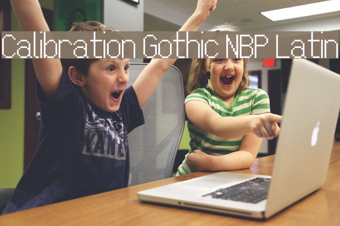 Calibration Gothic NBP Latin Font examples