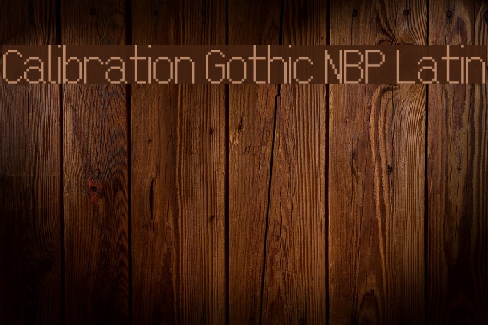 Calibration Gothic NBP Latin Font examples