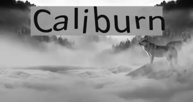 Caliburn Font examples