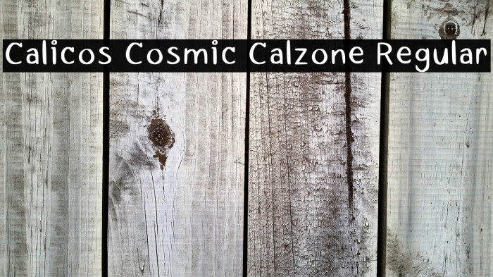 Calicos Cosmic Calzone Regular Example 1