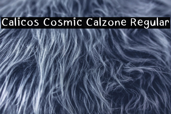 Calicos Cosmic Calzone Regular Example 2