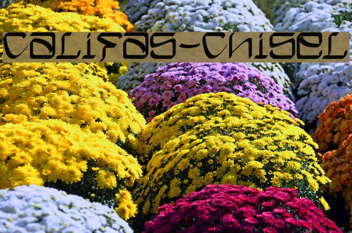 Califas-Chisel Font examples