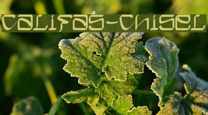 Califas-Chisel Font examples