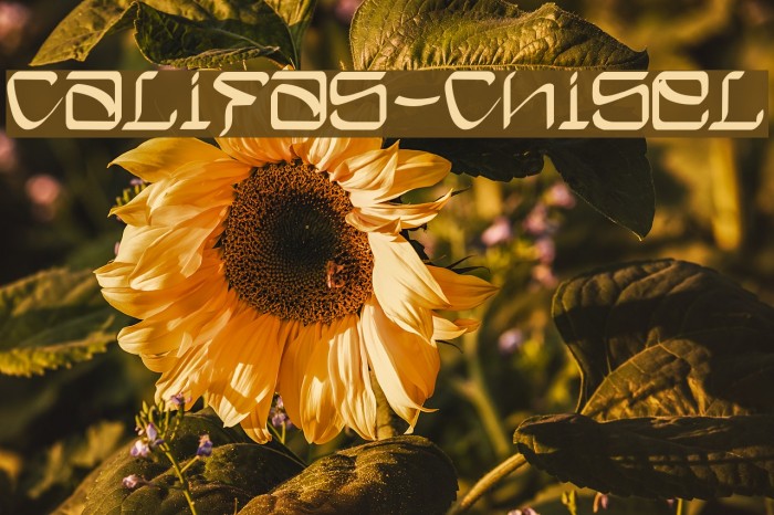 Califas-Chisel Font examples