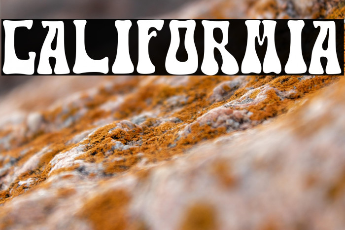 Califormia Example 2