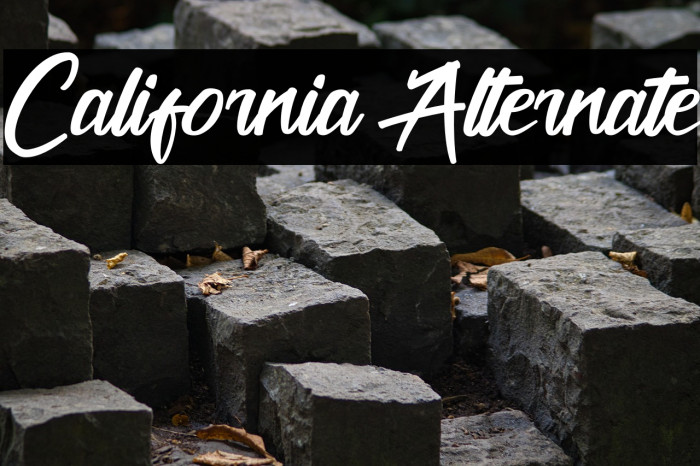 California Alternate Example 1