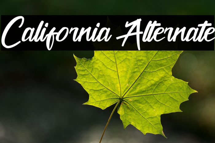 California Alternate Example 3