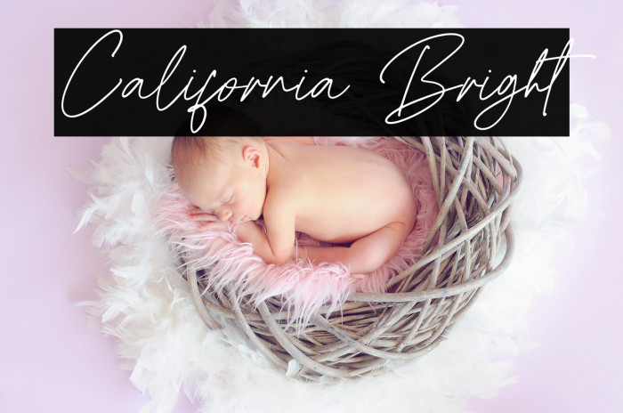 California Bright Example 3