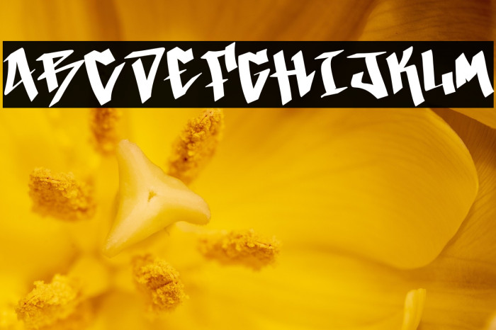 California Graffiti Demo Example 2