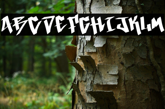 California Graffiti Demo Example 3