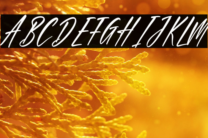 California Italic Example 2