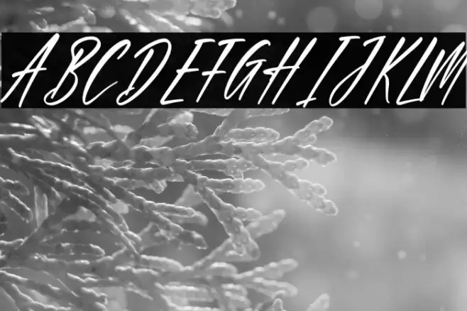 California Italic Font examples