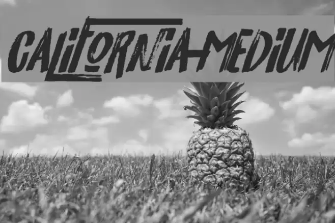 California-Medium Font examples