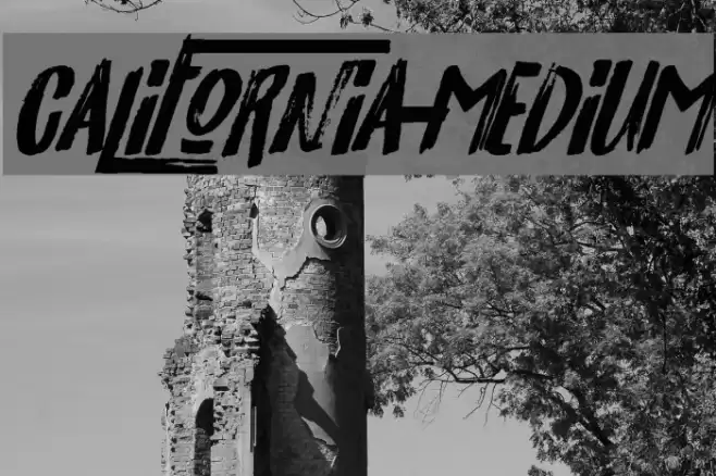 California-Medium Font examples