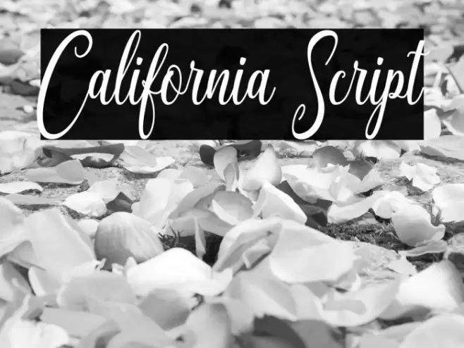 California Script Font examples