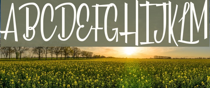 California Sun Personal Use Font examples