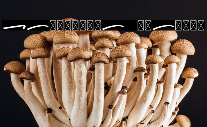 California Swashes Example 1