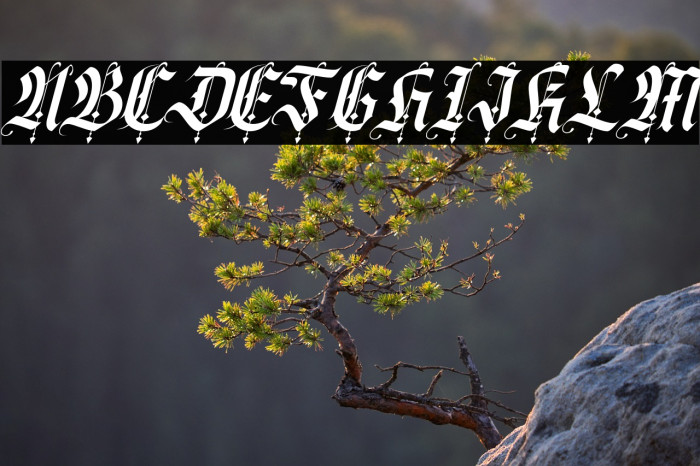 California sun Italic Example 3