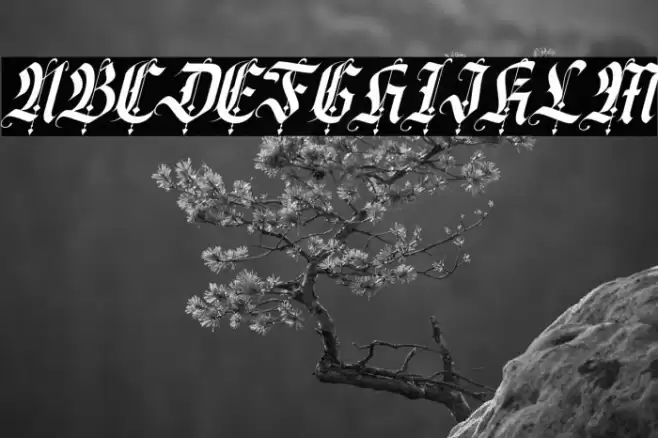 California sun Italic Font examples