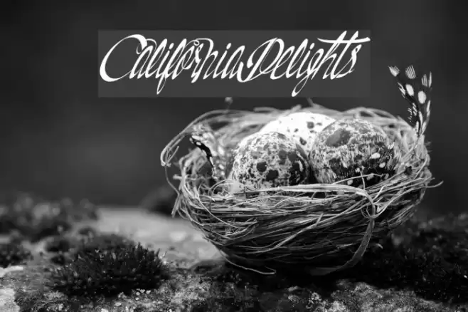 CaliforniaDelights Font examples