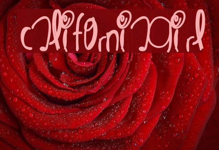 CaliforniaGirl Font examples