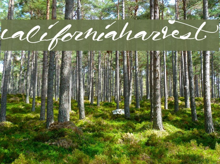 CaliforniaHarvest Font examples