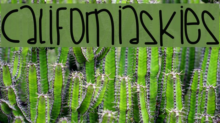 CaliforniaSkies Font examples